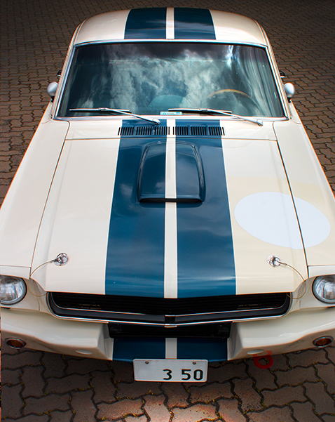 shelby gt350